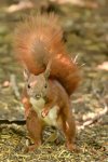 DSC_7090k.jpg