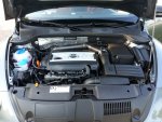 20130619_183620.jpg