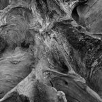 22.2.2012 - Think Nature_0127 - LOW BLOG.jpg
