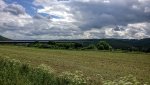 WP_20130623_002.jpg