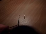 P7015500.jpg