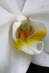 IMG_8765ng.JPG