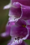 IMG_8777ng.JPG