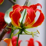 IMG_8796bv.JPG