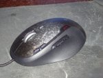 DSC00456.jpg