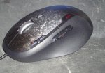DSC00456.JPG