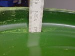 DSC00184.JPG