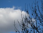 IMG_00831.jpg