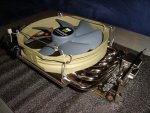 DSC01103.jpg