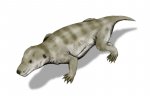 Thrinaxodon_BW.jpg