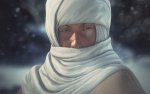 Shogun2 3.jpg