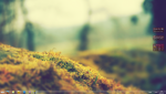 Untitled-1.png