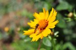 DSC_0719.jpg