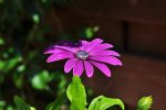 DSC_0735.jpg