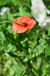 DSC_0840.jpg