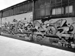 P1050171sw2.JPG