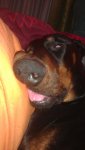 IMAG0781.jpg