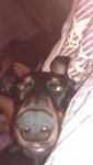IMAG0367.jpg