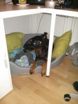 IMG_20130330_214852.jpg