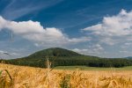 IMG_5657.jpg