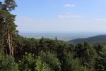 IMG_0008.jpg