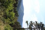 IMG_0013.jpg