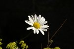 DSC05650_900.jpg