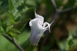 DSC05641_900.jpg