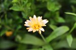 DSC_0857.jpg