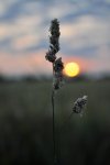 DSC_0006.jpg