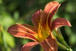 PK5_0828.jpg