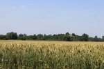 IMG_0057.jpg