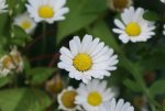 DSC05679_900.jpg