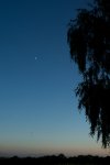 DSC01161.jpg