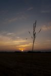 DSC01275.jpg
