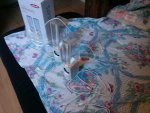 IMG_20130708_175912.jpg