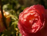 DSC02767_klein.jpg