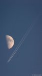 20130716-DSC_0009-2.jpg