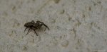20130712-DSC_0004.jpg