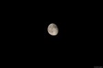 20130725-DSC_0011.jpg
