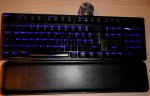 ducky01.jpg