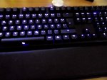 ducky04.jpg