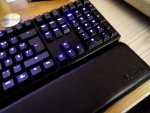 ducky05.jpg