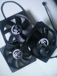 IMG20130803200653911.jpg