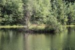 Ungeheuersee0013.jpg