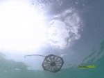 Ereboss 04.jpg