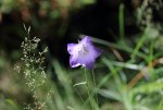 IMG_0111.JPG