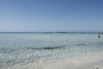 _MG_6549.jpg