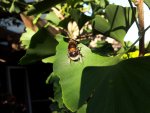 20130718_195045.jpg
