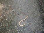 20120523_131610.jpg